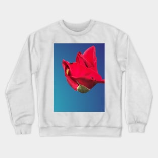 Majestic red macro rose Crewneck Sweatshirt